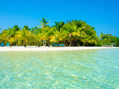 Belize base