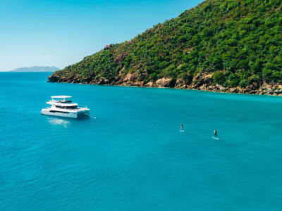 bvi
